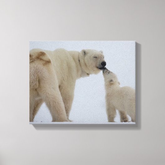 Polar Beer Moeder met Cub Canvas Afdruk (Voorkant)