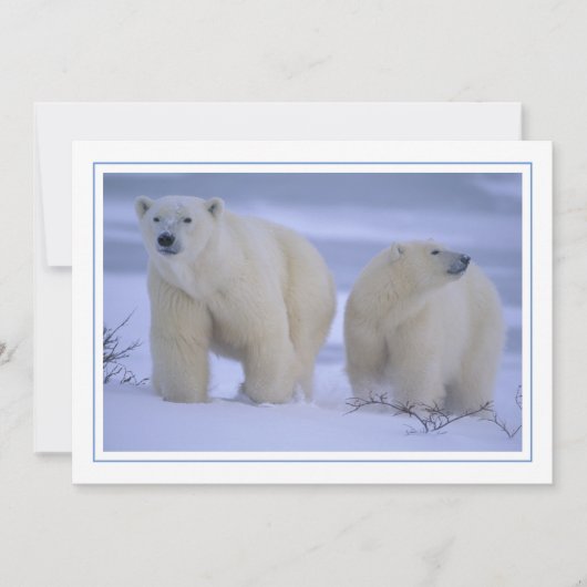 Polar Beer Moeder met Cub in Snow Feestdagenkaart (Voorkant)