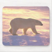 Polar Beer Morn 3 Mousepad Muismat (Voorkant)