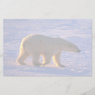 Polar Beer Morn Briefpapier