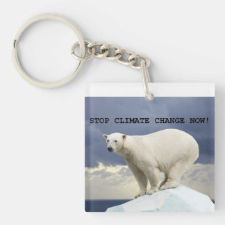 Polar Beer Stop klimaatverandering nu! Sleutelhanger