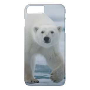 Polar Beer, Ursus Maritimus, Volwassenen iPhone 8 Plus / 7 Plus Hoesje