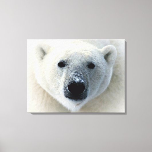 Polar Beer verpakt Canvas (Voorkant)