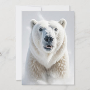 Polar Beer Wild Animal Elegant Dramatisch Portret Aankondiging