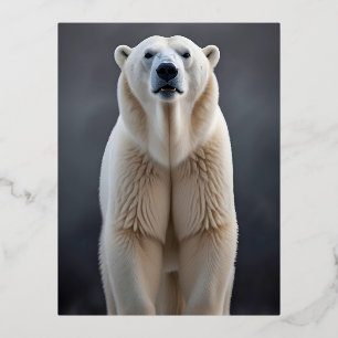 Polar Beer Wildlife Majestic Natuur Life Wallpaper Folie Feestdagen Briefkaart