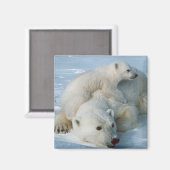 Polar_beer_with_cub Beer Liefhebbers Magneet (Voorkant / Achterkant)