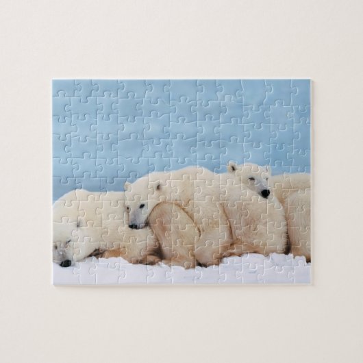 Polar Beren puzzel (Horizontaal)