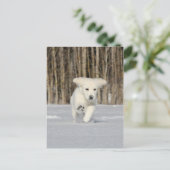 Polar Puppy Briefkaart (Staand voorkant)