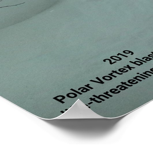 POLAR VORTEX HITS AMERIKA 2019 POSTER (Hoek)