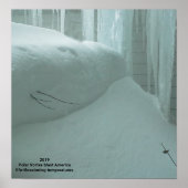 POLAR VORTEX HITS AMERIKA 2019 POSTER (Voorkant)