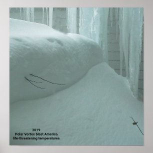 POLAR VORTEX HITS AMERIKA 2019 POSTER