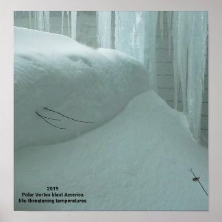 POLAR VORTEX HITS AMERIKA 2019 POSTER