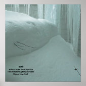 POLAR VORTEX TREFT ITHACA NEW YORK 2019 POSTER (Voorkant)