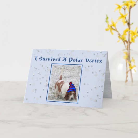 "Polar Vortex" Verjaardag Kaart W / Schattigee Bas (Gele Bloem)