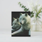 Polar Wolf Briefkaart (Staand voorkant)