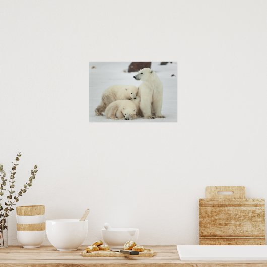 Polar zij-beer met kubussen poster (Keuken)