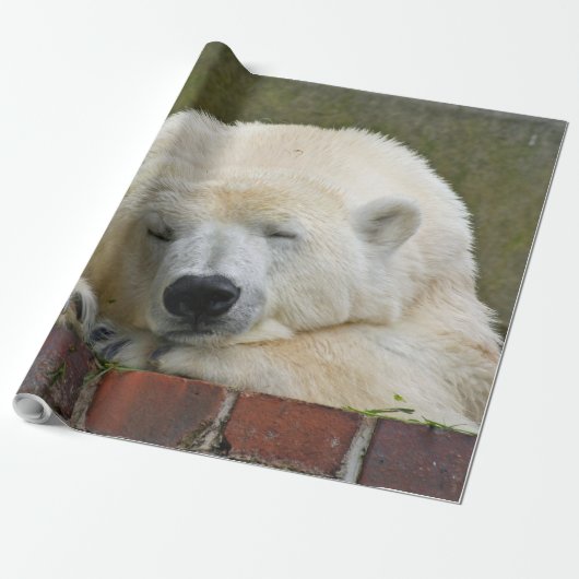 PolarBear20150501 Cadeaupapier (Uitgerold)