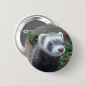 Polecat ferret ronde button 5,7 cm (Voorkant /achterkant)