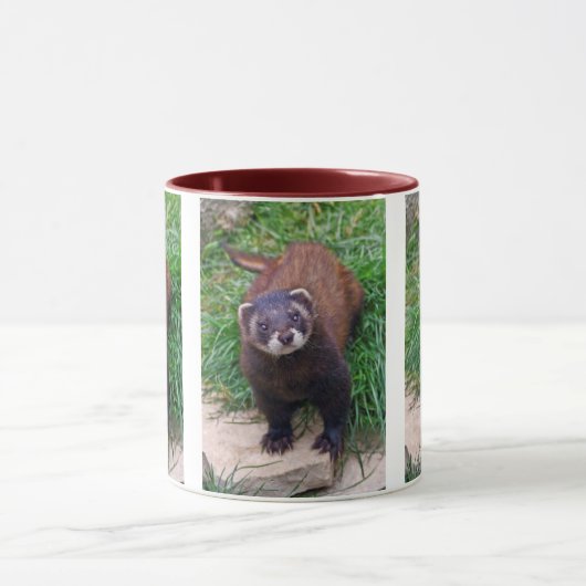 Polecat-Mok Mok (Midden)