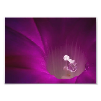 Polen Glitter Foto Afdruk