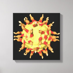 Polio Virus, met de receptoren Canvas Afdruk