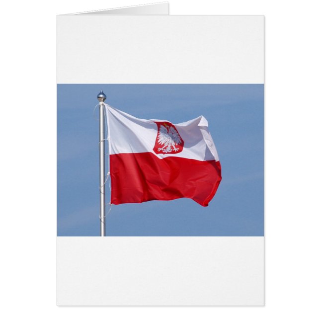 POLISH FLAG (Voorkant)
