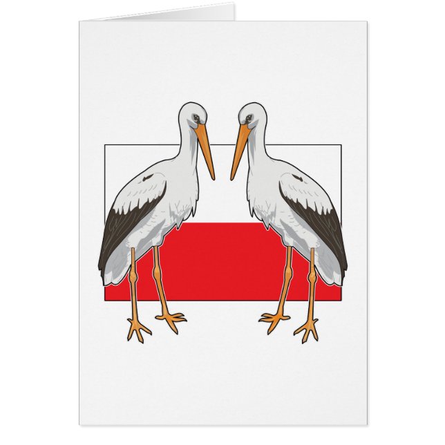 Polish white stork (Devant)