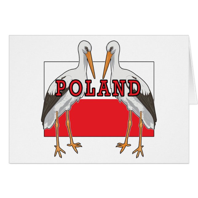 Polish white Stork (Devant horizontal)
