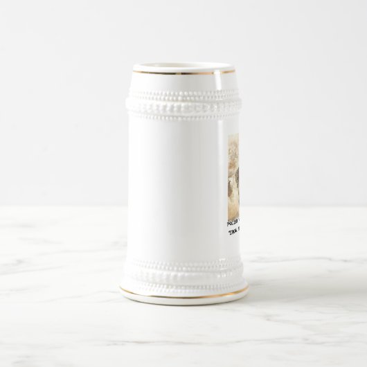 POLISH WINGING HUSSARS BIERPUL (Center)