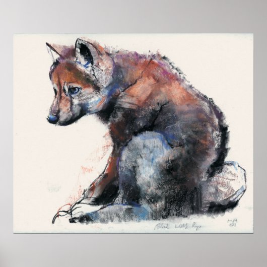 Polish Wolf Pup 2001 Poster (Voorkant)