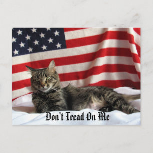 Politiek advies van Nia Briefkaart