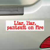 Politiek Bumpersticker (Op auto)