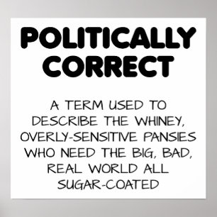 Politiek Correcte Grappige Poster