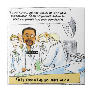 Politiek: Is Dat Hersenchirurgie? Tegeltje