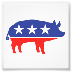 Politieke partij Pig Mascot Foto Afdruk