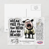 Politieke schapenschaap briefkaart (Voorkant / Achterkant)