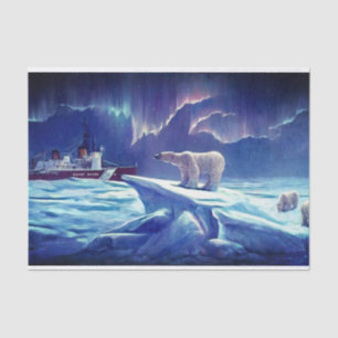  politspapier voor Beren Tissuepapier