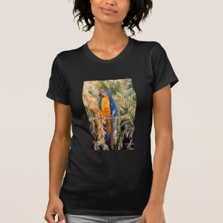 "Polk Parrots" Dames Petite T-shirt