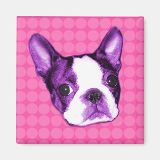 Polka Dot Boston Terrier Magnet (Devant)