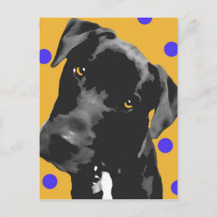 Polka Dot Briefkaart