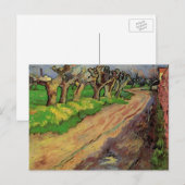 Pollard Willows door Vincent van Gogh Briefkaart (Voorkant / Achterkant)