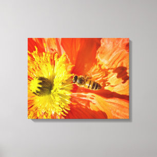 Pollinatie in Oranje en gele canvasomslag Canvas Afdruk