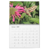 Pollinator Kalender 2026 (Jan 2027)