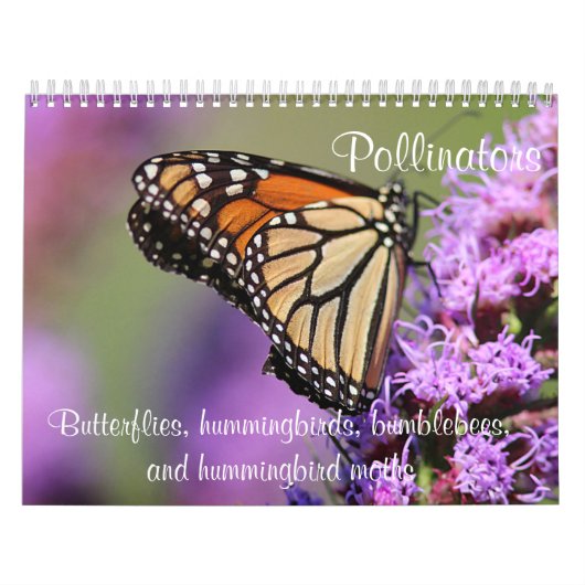 Pollinatoren Kalender (Hoes)