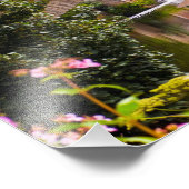 Pollok Park, Glasgow Photographie (Coin)