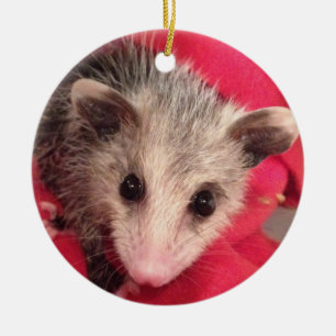 Polly Cute Baby Possum Keramisch Ornament