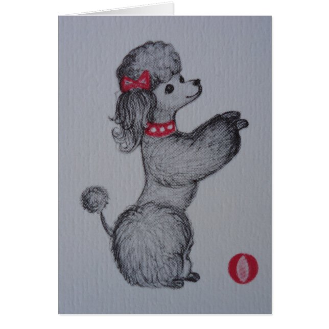 Polly le caniche (Devant)