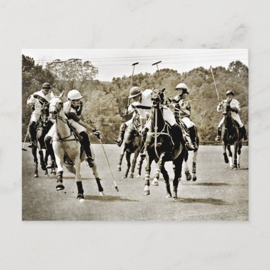 Polo Horses Galloping Briefkaart (Voorkant)