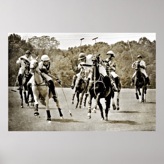 Polo Horses Galloping Poster (Voorkant)