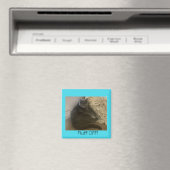 Polo le chat Fluff Off aimant (In Situ (Lave-vaisselle))